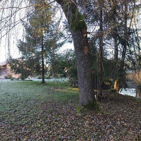 Gîte des Viviers -08400 Manre - de 1 à 2 personnes Exterior foto